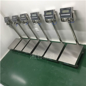 株洲EX防爆計重60kg電子稱(chēng)