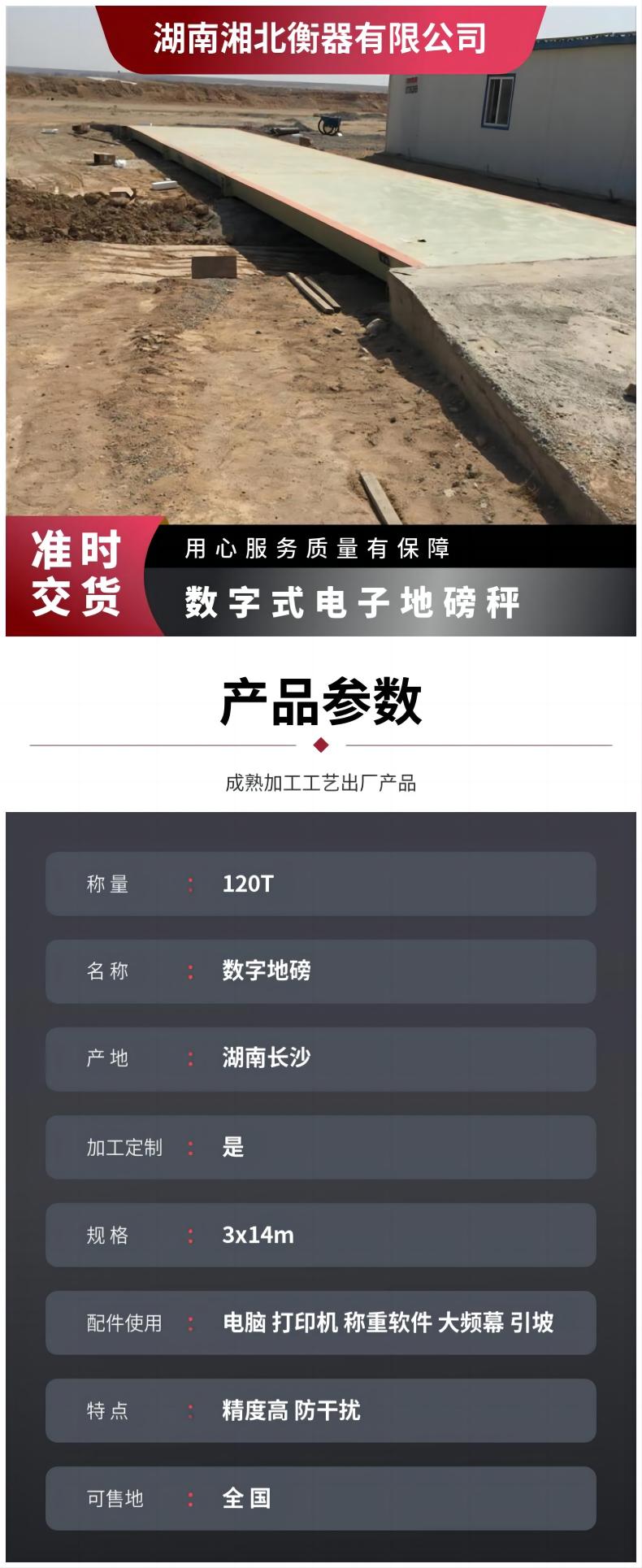衡陽(yáng)100T電子汽車(chē)衡